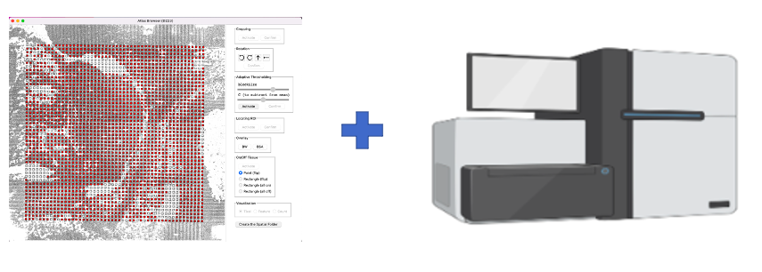 _images/AtlasBrowser_sequencing.png