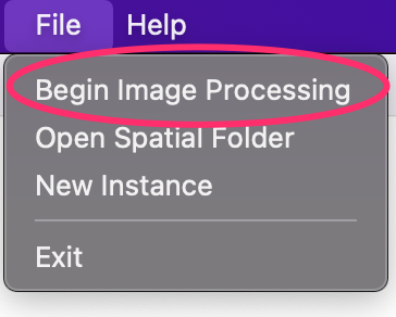 _images/BeginImageProcessing.png