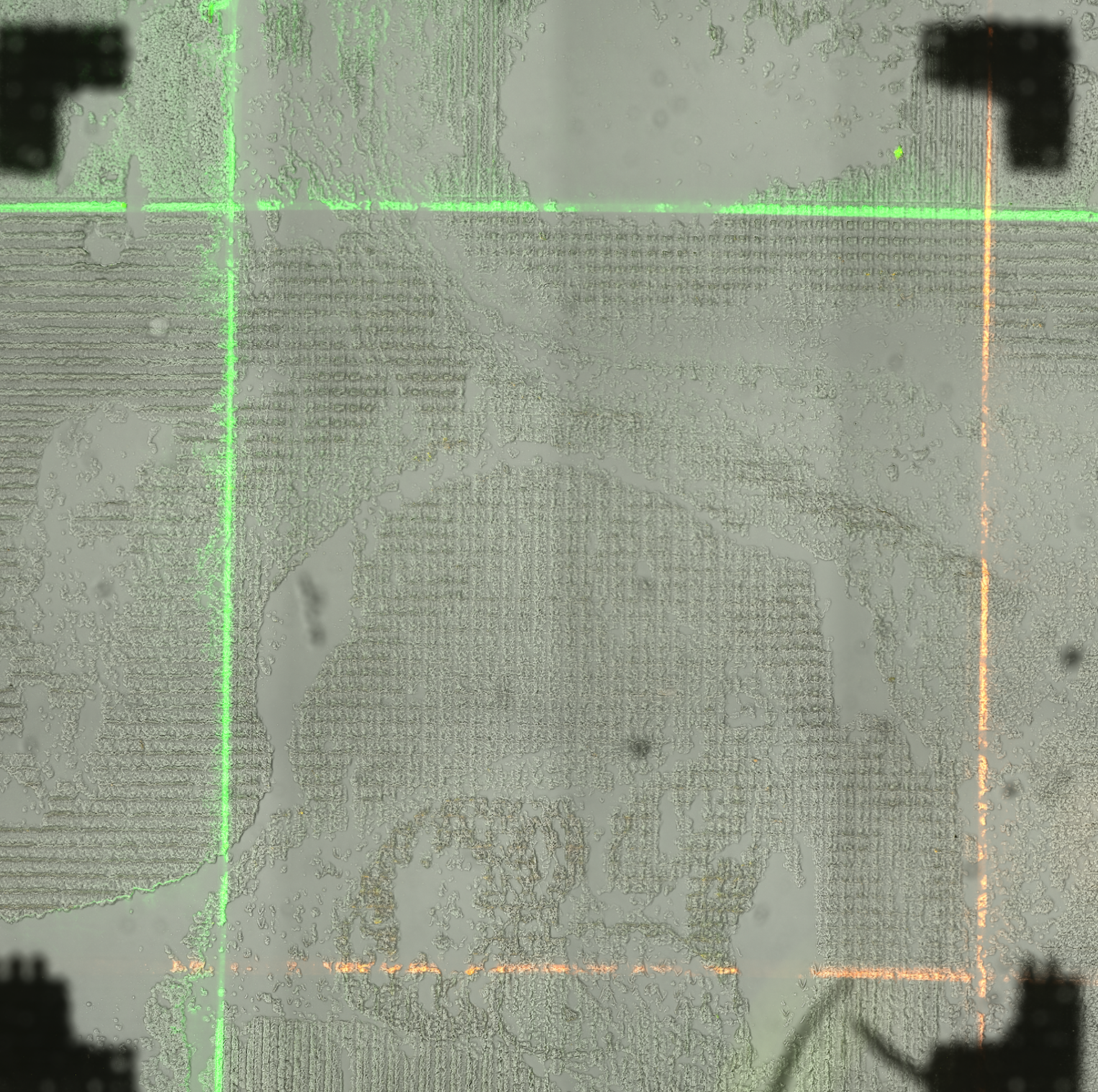 _images/D223_BSA_image.png