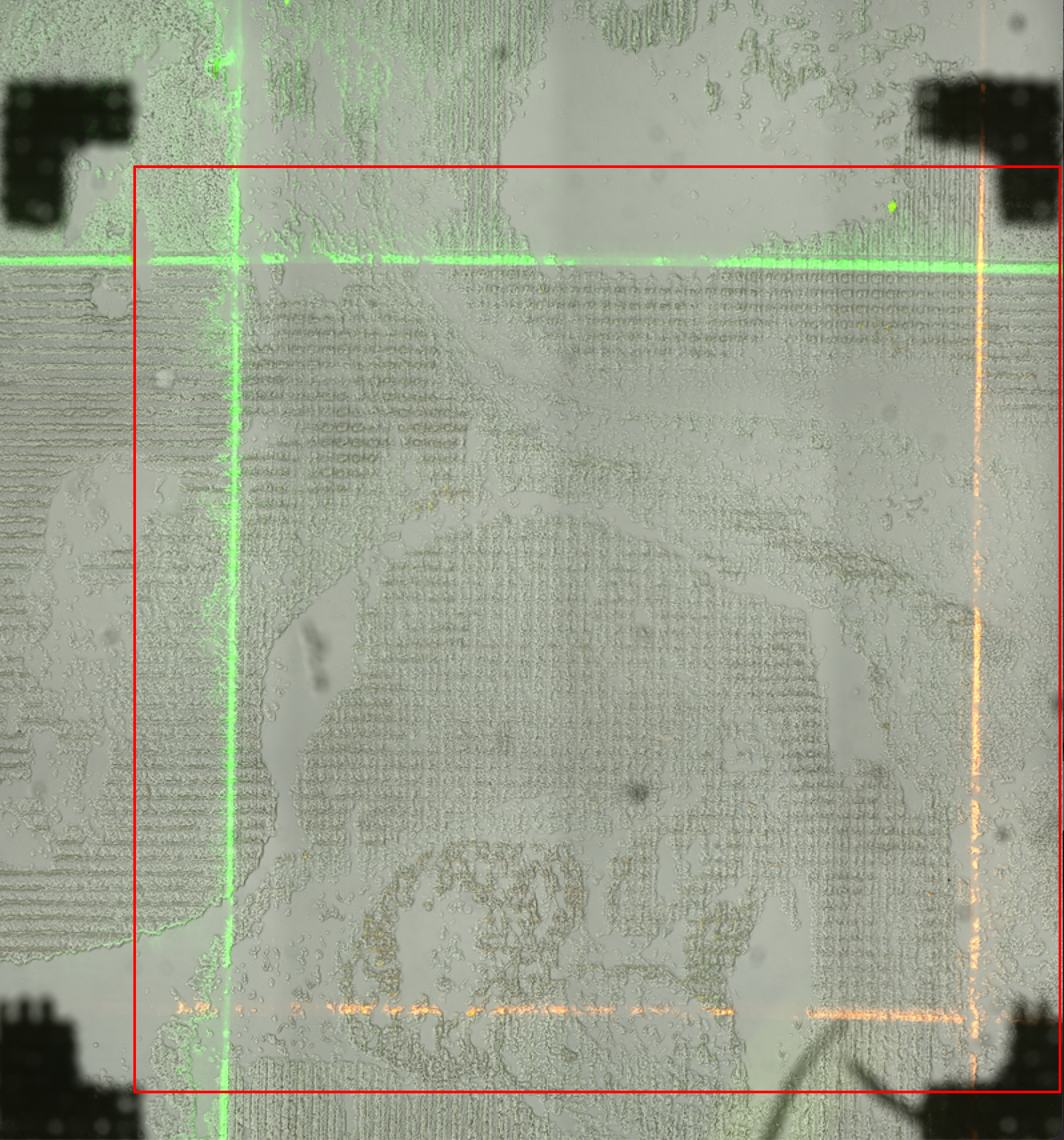 _images/ExpandedCropBox.png