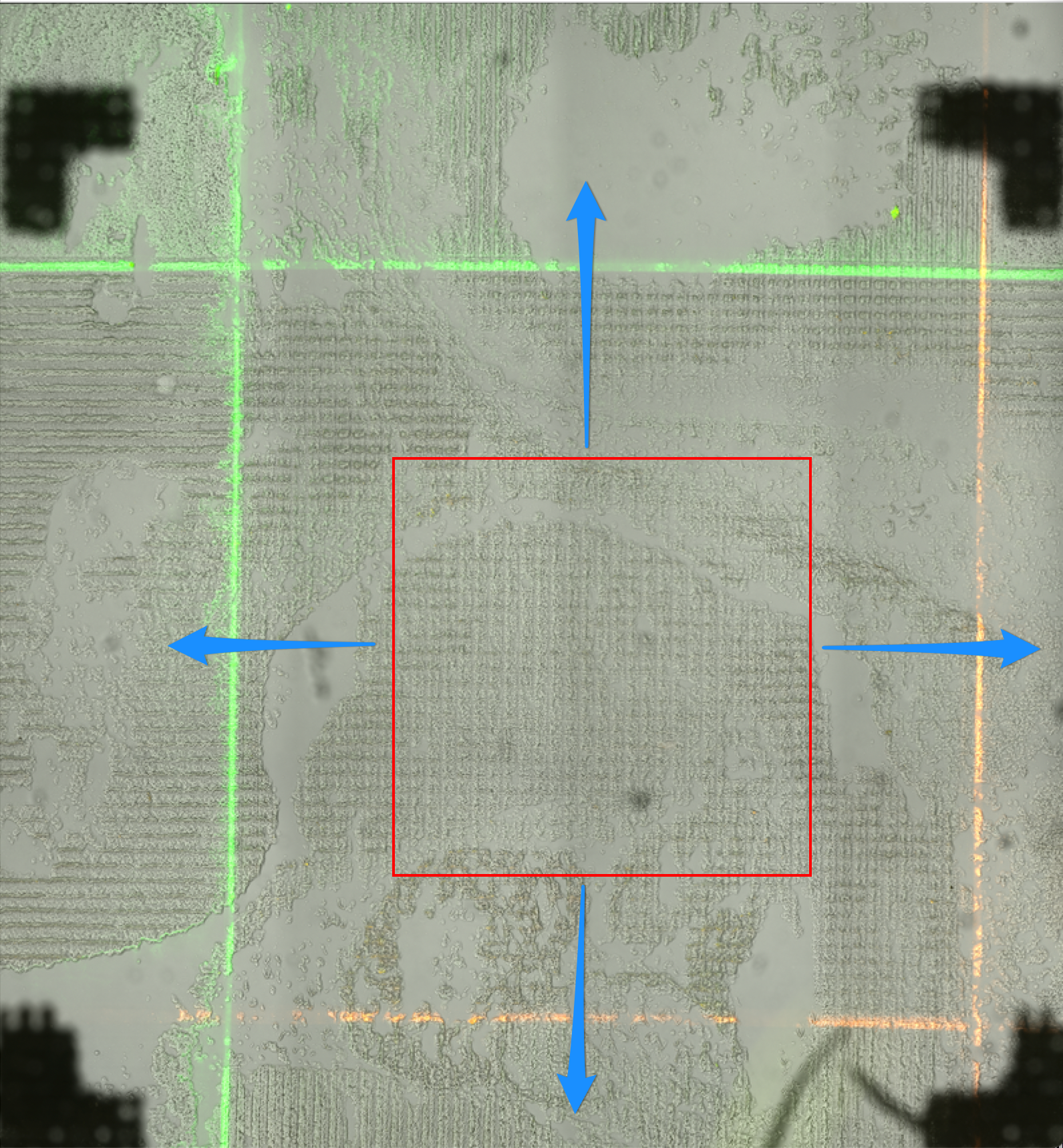 _images/ExpandingCropBox.png