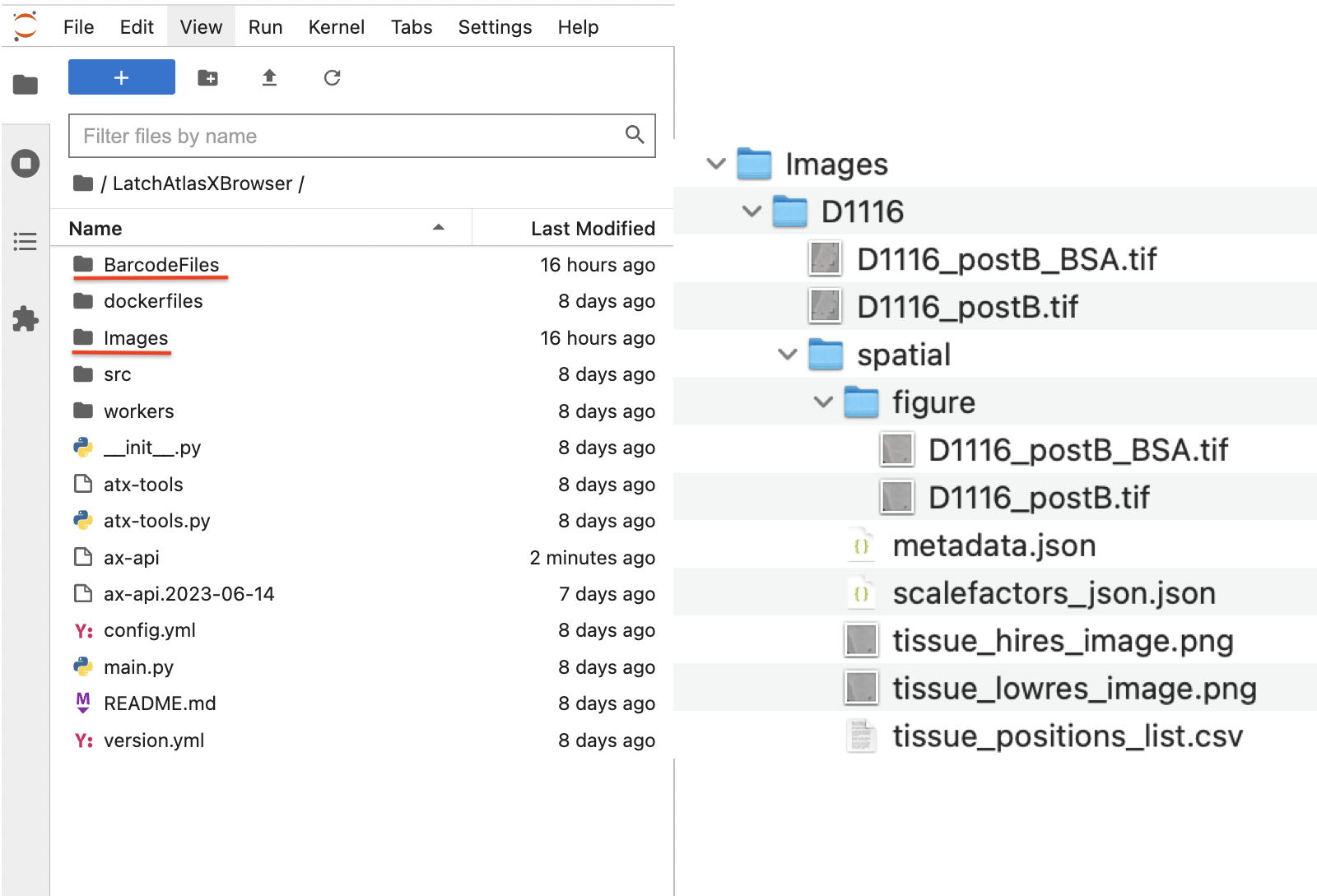 _images/leftsidelatch_folderStructure.png